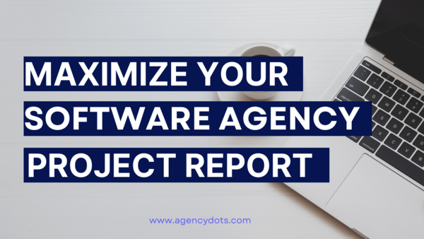 Maximizing the Impact of Software Agencies Project Reporting with AgencyDots